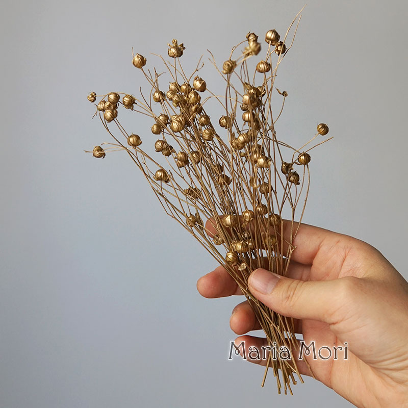 5g Preserved Flax Bean Natural - огляд і ціна Candle Making At Home